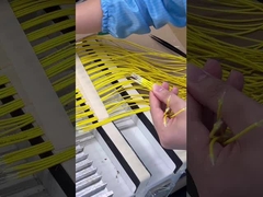 Optic fiber curing oven